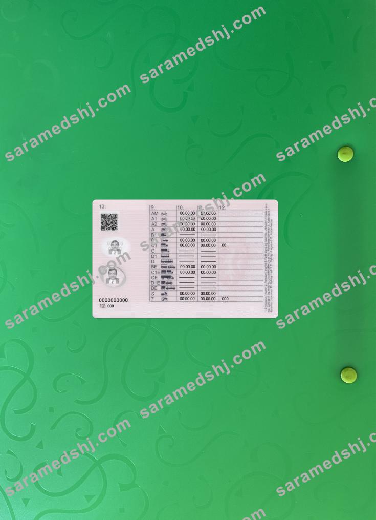 Norway driving license 2018-present photolook BACK